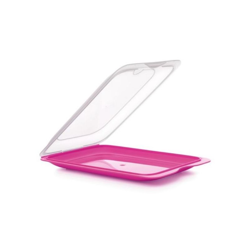 PORTAEMBUTIDOS HERMETICO APIL LIBRE BPA SURT PP TATAY